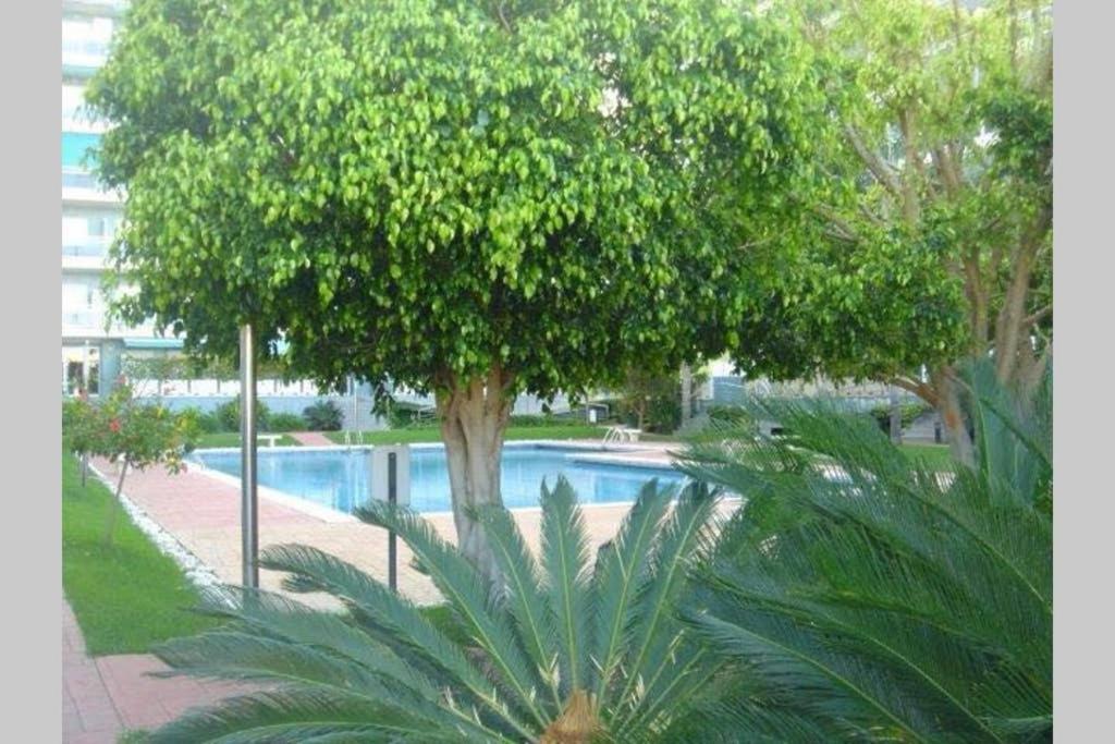 Apartamento Athenea Gandia Ngoại thất bức ảnh